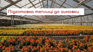 Підготовка теплиці до зимовки. Трудове навчання (квіткарництво) 7 клас