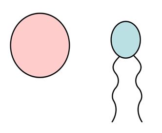 0400k1es-ca68-332x274.png