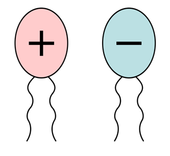 0400k1ev-d02b-333x306.png