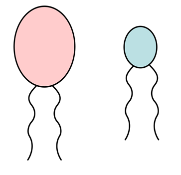 0400k1f0-0918-363x351.png