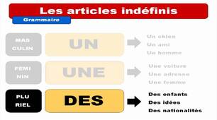 Article indéfini + forme négative