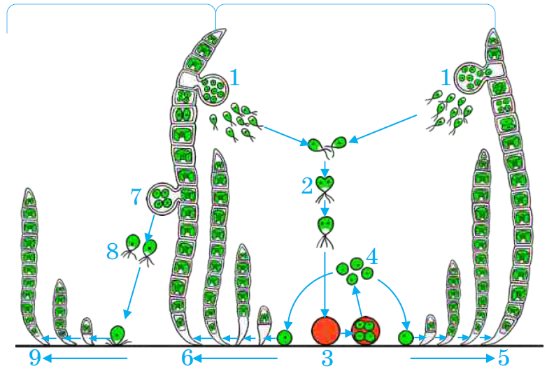 0400k57j-f790-782x531.png