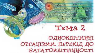Одноклітинні організми. Перехід до багатоклітинності