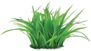 0400k7jj-fd01-319x179.png