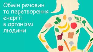 8 клас. Обмін речовин та перетворення енергії в організмі людини.
