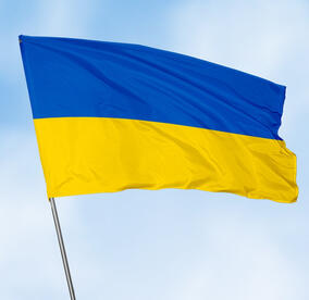 Купити Прапор України стандарт 700 Х 1000мм за ціною від 70 грн | Військторг Камформа