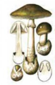 0400kebq-72d2-180x279.png