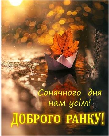 0400kni9-4791-355x442.jpg