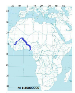 0400koix-c9f2-248x307.png