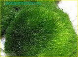 0400kpdl-09d7-159x115.jpg