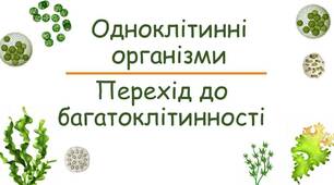6 клас. Контрольна робота №1