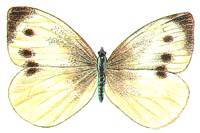 0400krkm-b7b6-200x133.jpg