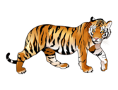 0400ku1q-a70e-167x127.png