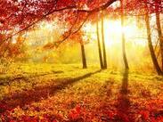 Why you can expect a spectacular autumn