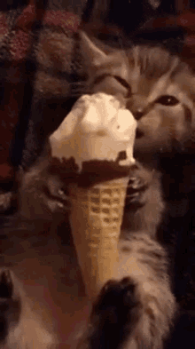 0400kunj-bbce-220x393.gif
