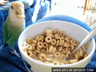 0400kuoy-9ad6-320x240.gif