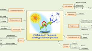 Ментальна карта до уроку "Особливості процесів життєдіяльності рослин"