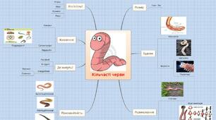Ментальна карта до уроку "Кільчасті черви"
