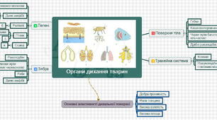 Ментальна карта до уроку "Органи дихання тварин"