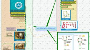 Ментальна карта до уроку "Розмноження тварин"
