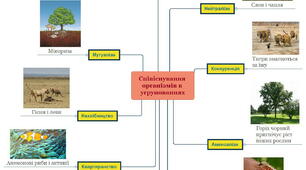 Ментальні карти до уроку "Співіснування організмів в угрупованнях"