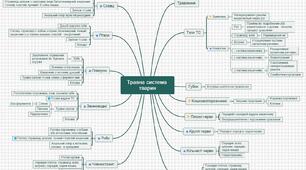 Ментальна карта до уроку "Травна система тварин"