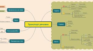 Ментальна карта до уроку "Транспорт речовин в тварин"