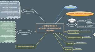 Ментальна карта до уроку "Захворювання органів сечовиділення"