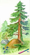 0400l1l1-8ec3-107x194.jpg