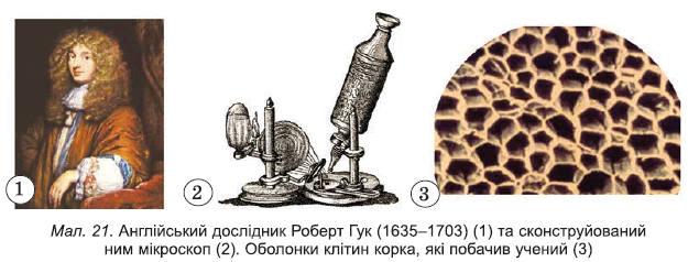 0400l37g-9503-625x238.png