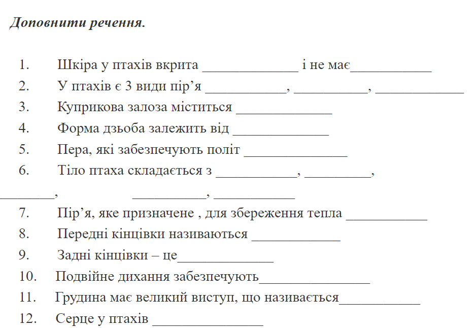 0400l8is-3223-934x646.png