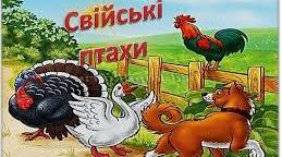 ЗАГАДКИ ПРО СВІЙСЬКИХ ПТАХІВ