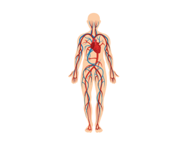 0400lcg0-c1de-381x288.png