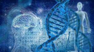 Будова генів та основні компоненти геномів про- та еукаріотів.