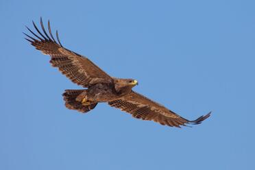 0400le1w-e207-372x248.jpg