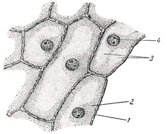 0400lec7-e071-344x276.png
