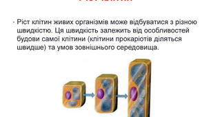 Ознаки клітини ( ріст)