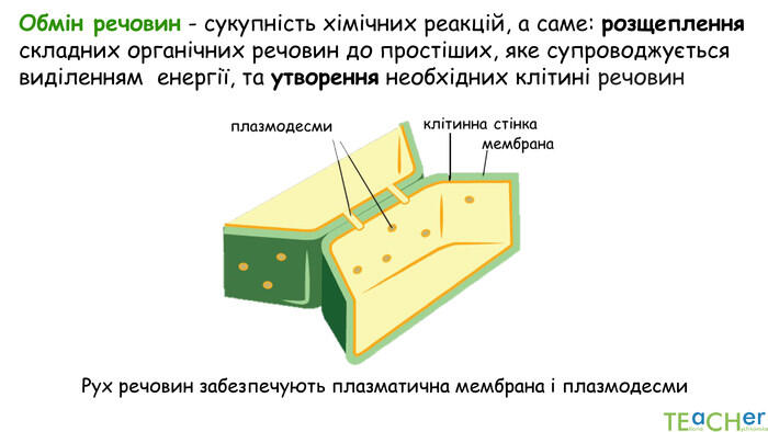 0400lefv-ae74-700x394.jpg