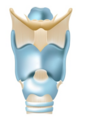 0400lf9e-d07c-88x121.png