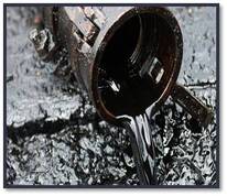 0400lng5-901d-206x178.jpg