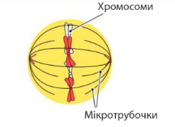 0400lpcm-1326-248x180.png