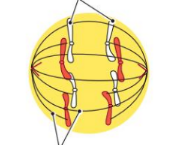 0400lpfq-54a2-174x145.png