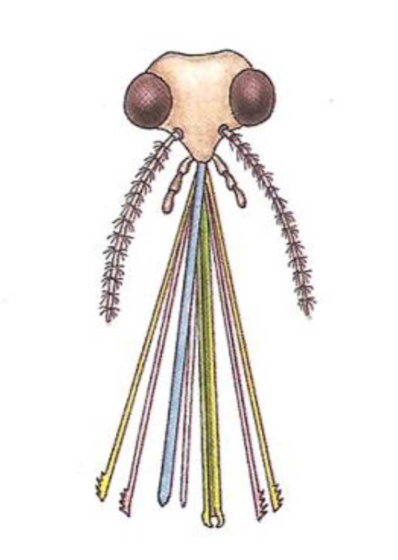 0400lq9u-ee2d-567x798.png