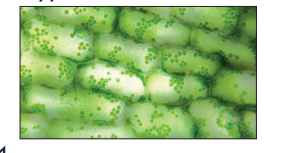 0400lqt0-d773-287x153.png
