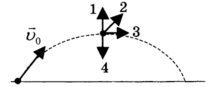 0400ltd0-55df-211x87.png
