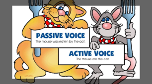 Passive Voice  (Present Simple, Past Simple, Future Simple, Present Perfect)