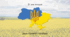 Розробка до Дня гідності і свободи