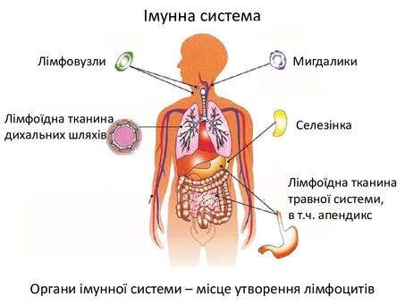 0400lyyc-68ee-453x340.jpg