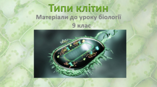 Презентація "Типи клітин. Порівняльна характеристика прокаріотичної та еукаріотичної клітини"