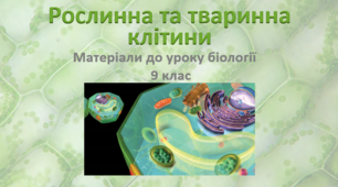 Презентація "Рослинна та тваринна клітини"